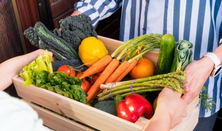 Local Programs Support